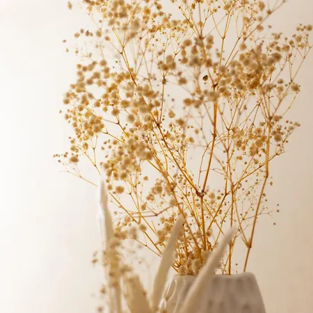 Novita' Dimora Delfino - Privata, Wifi, Ac *