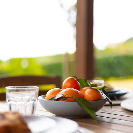 Novita' Dimora Delfino - Privata, Wifi, Ac Casa vacanze